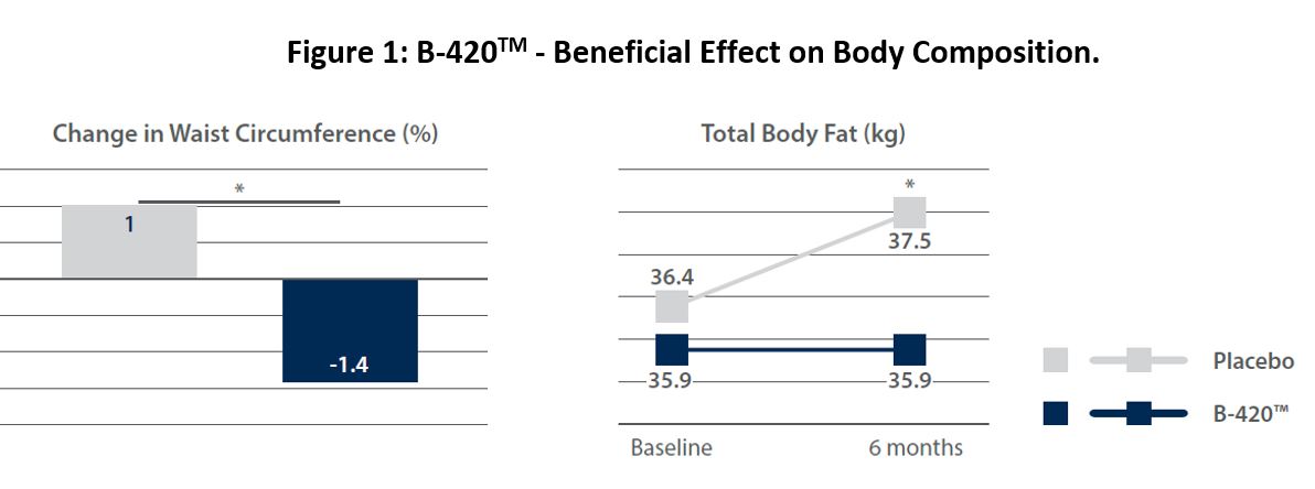 Figure 1: B-420 - Beneficial Effect on Body Composition.