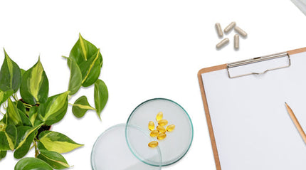 Insomnia Treatment Protocol