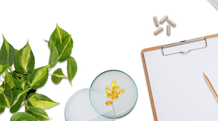 Irritable Bowel Syndrome (IBS) Treatment Protocol