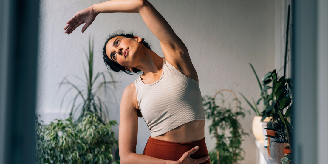 What are the Benefits of Taking a Broad Spectrum Probiotic?