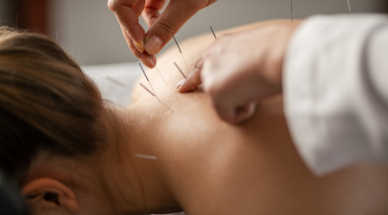 Ancient Wisdom, Modern Healing: Acupuncturists, Western Herbalists & Ayurvedic Practitioners