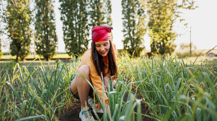 Woman tending to organic produce in afternoon sun
