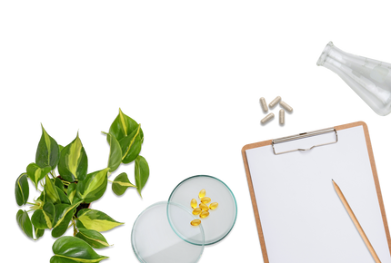 Burnout and Chronic Stress Treatment Protocol