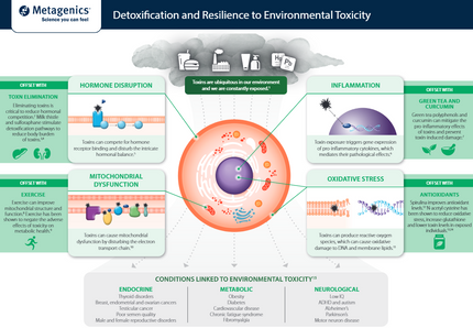 Detoxification and Resilience to Environmental Toxicity Infographic