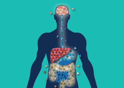 The Bowel and Beyond: Bi-Directional Consequences of Gut-Brain Miscommunication
