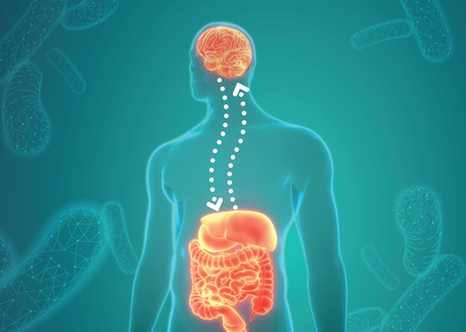 Pre-Pro-Postbiotic