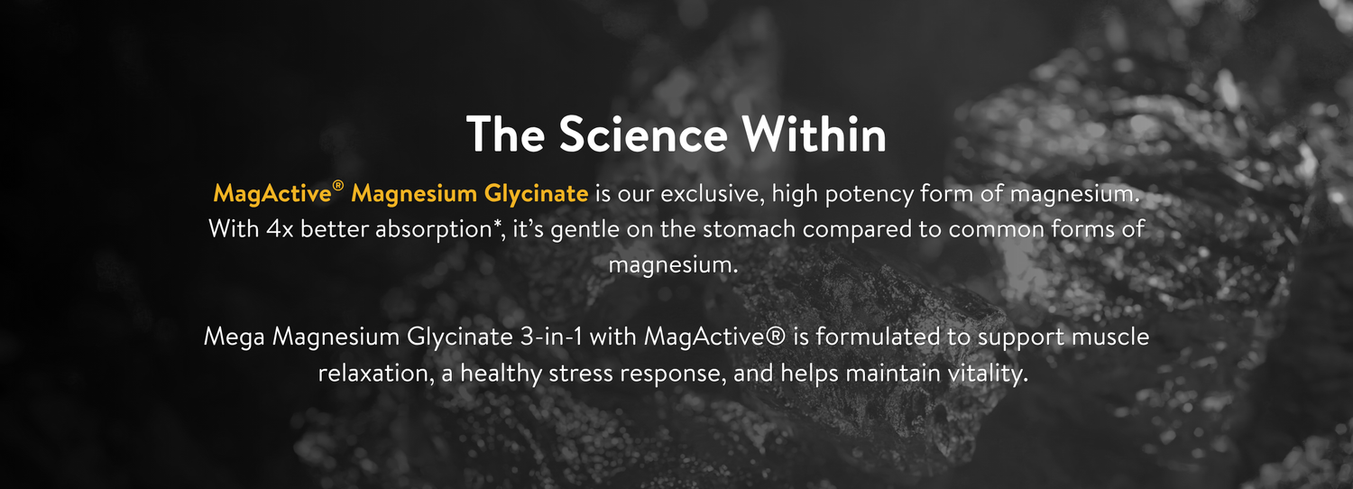 MagActive magnesium glycinate science overview highlighting 4x better absorption, gentle digestion and 3-in-1 benefits for muscle relaxation, stress response and vitality.


