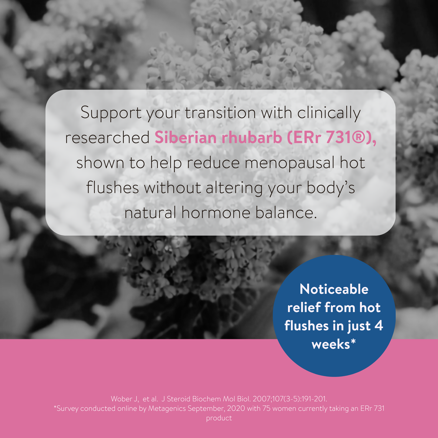 Menopause Support