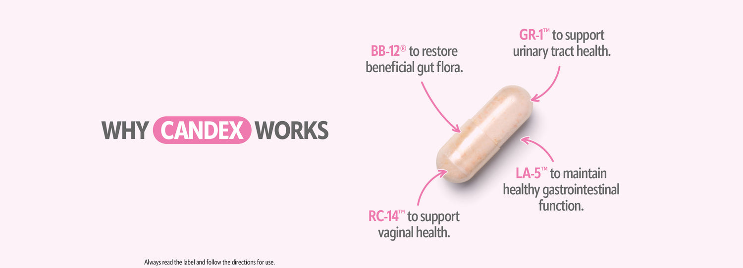 Why Candex Probiotics Really Work