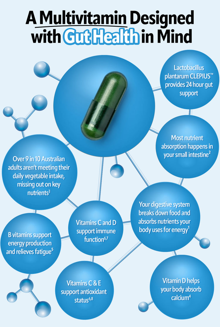 Multivitamin designed with gut health in mind - infographic showing B vitamins for energy, Lactobacillus plantarum CLEPIUS probiotic for 24-hour gut support, vitamins C D and E for immune function and antioxidant status, and nutrient absorption benefits
