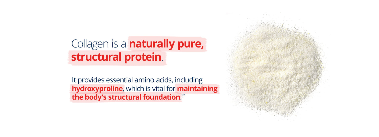 Infographic explaining collagen as a naturally pure structural protein. Highlights its role in providing essential amino acids, including hydroxyproline, which supports the body’s structural foundation. Image includes a pile of white collagen powder on the right.