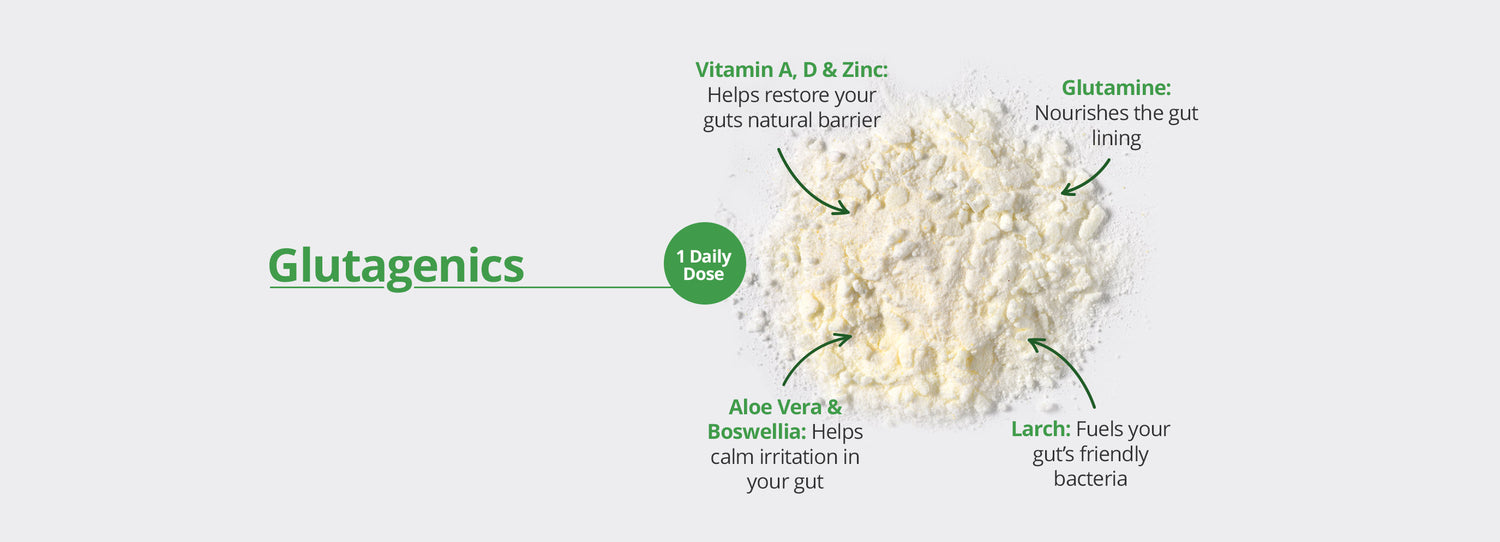 Glutagenics powdered supplement shown with labelled key ingredients: Vitamin A, D and Zinc to support the gut barrier, Glutamine to nourish the gut lining, Aloe Vera and Boswellia to calm gut irritation, and Larch to fuel beneficial gut bacteria. Text reads ‘1 daily dose.