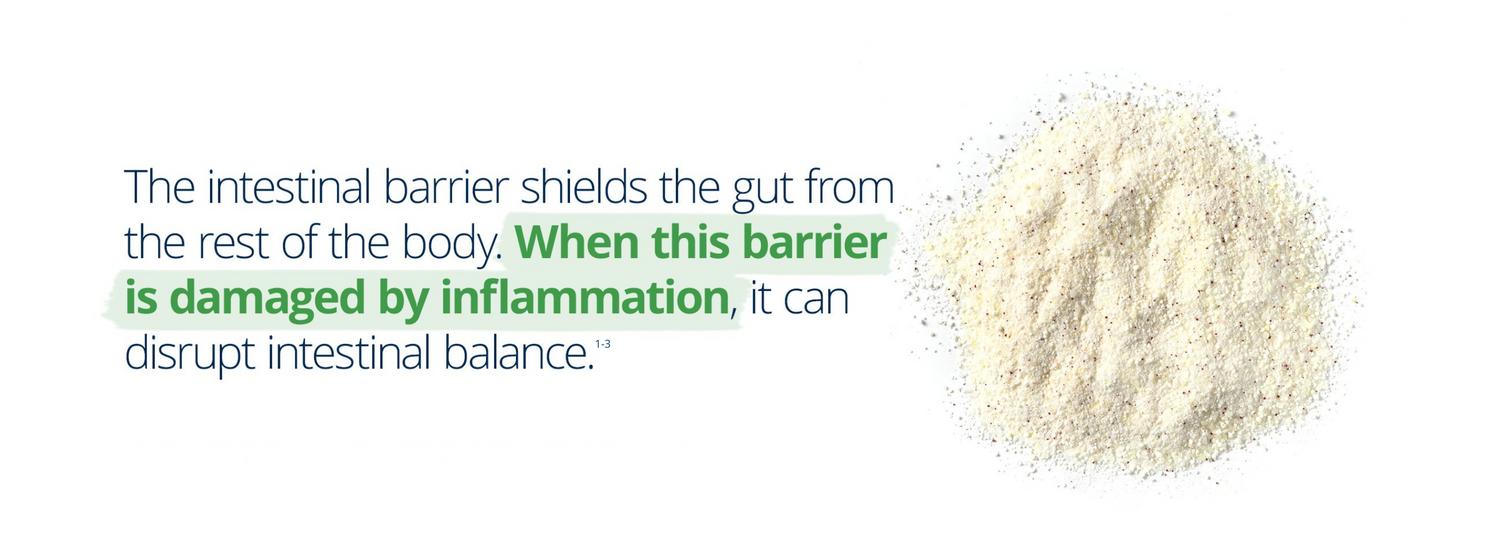 Glutagenics gut health supplement: supports a healthy intestinal barrier and gut balance by protecting against inflammation-related damage.