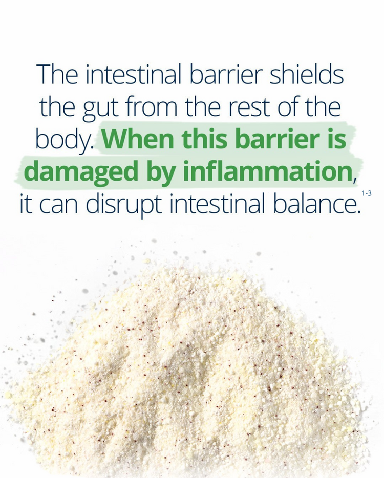 Glutagenics gut health supplement: supports a healthy intestinal barrier and gut balance by protecting against inflammation-related damage.