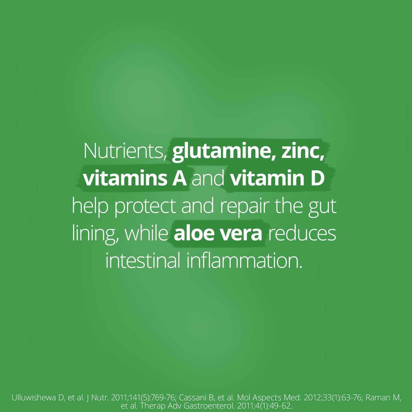 Glutagenics Lemon Lime 230g Powder