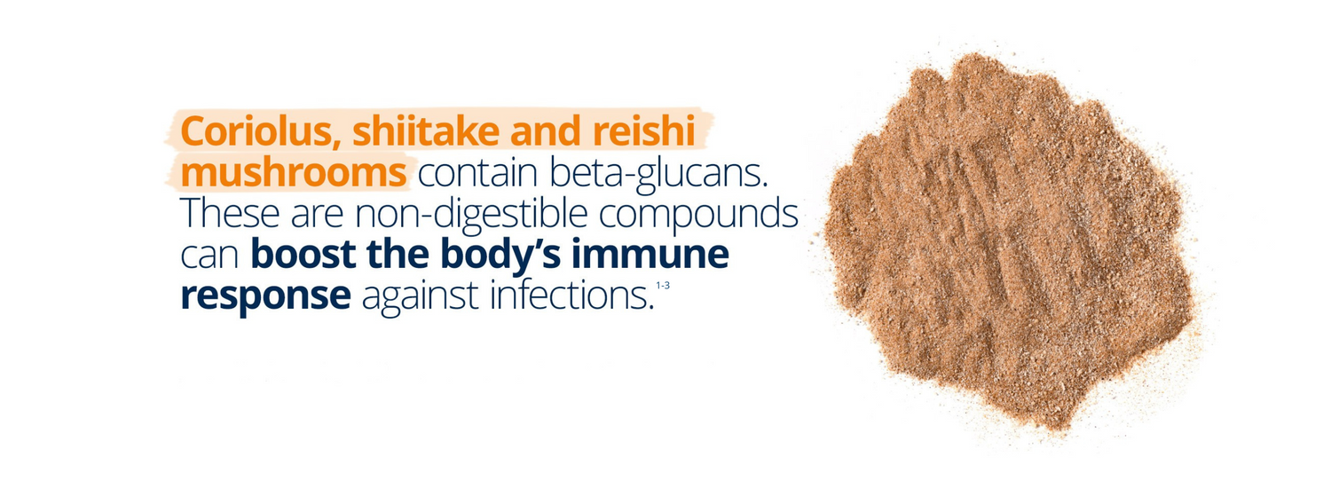 Super Mushroom Complex featuring Coriolus, Shiitake, and Reishi mushrooms, rich in beta-glucans to support immune response and help defend against infections.