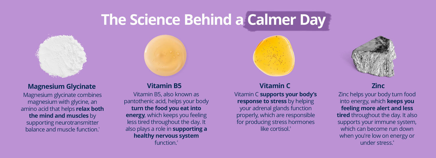 MetaRelax Daily science breakdown: magnesium glycinate for mind and muscle relaxation, vitamin B5 for energy and nervous system support, vitamin C for stress response, and zinc for energy and immune health.