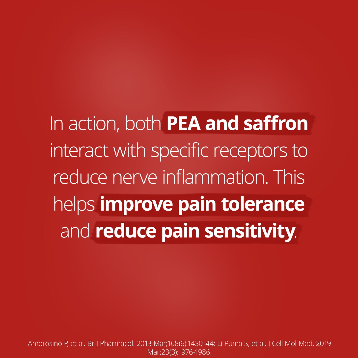 PainX PEA Advanced 42 Capsules