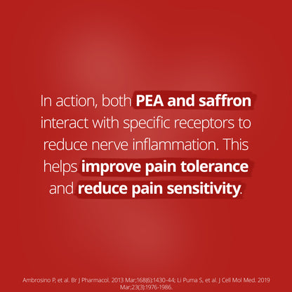 PainX PEA Advanced 42 Capsules