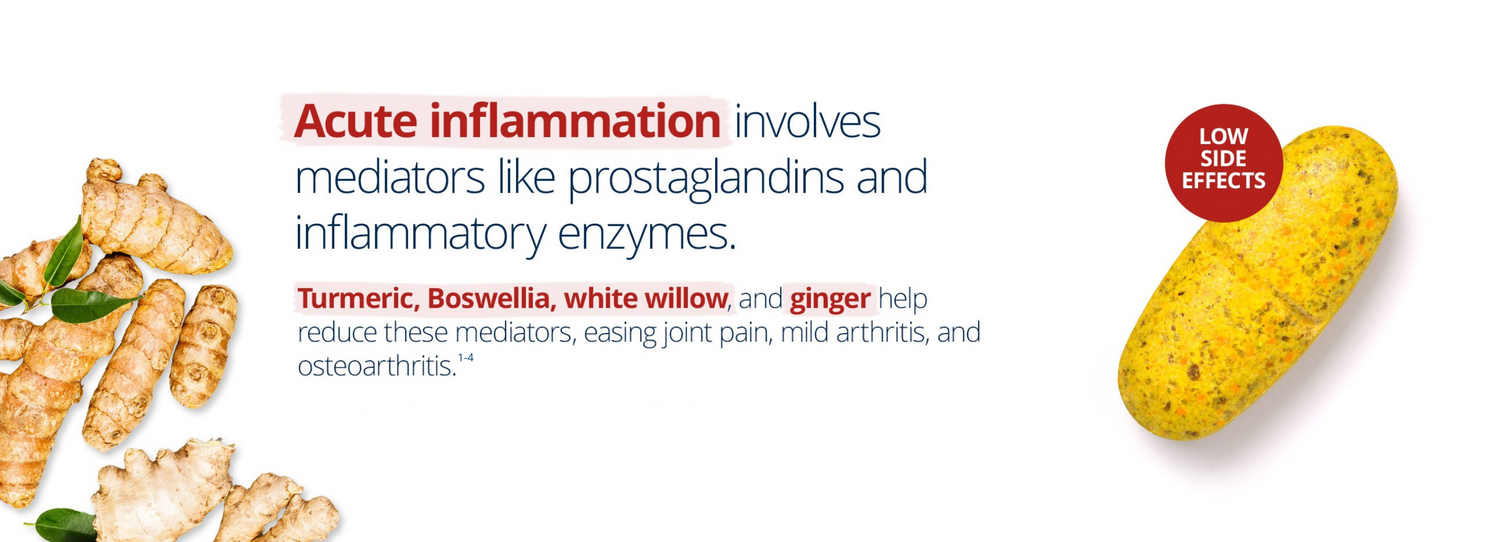 Joint Intensive Care supplement with turmeric, boswellia, white willow, and ginger—reduces inflammation mediators to ease joint pain, mild arthritis, and osteoarthritis with low side effects.