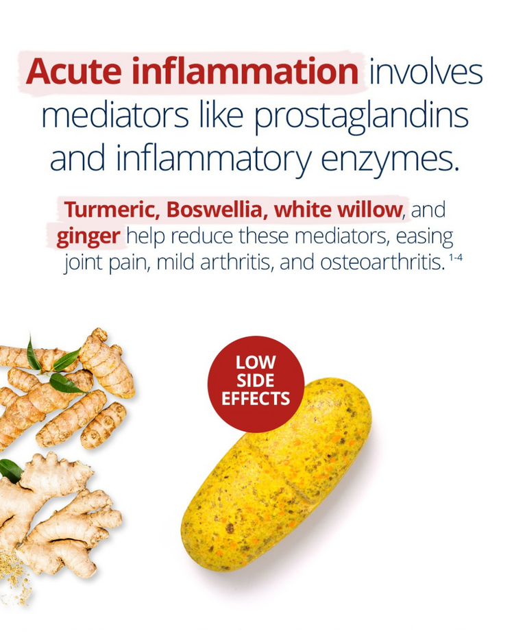 Joint Intensive Care supplement with turmeric, boswellia, white willow, and ginger—reduces inflammation mediators to ease joint pain, mild arthritis, and osteoarthritis with low side effects.