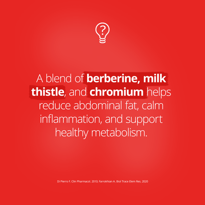 Red background with health quote highlighting benefits of berberine, milk thistle, and chromium. Text explains these ingredients help reduce abdominal fat, calm inflammation, and support healthy metabolism.