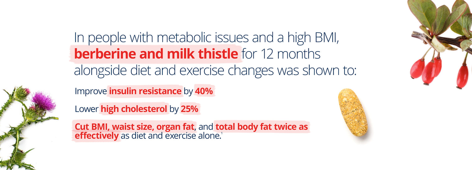 Infographic on metabolic health benefits of berberine and milk thistle. Text explains that in people with high BMI and metabolic issues, these ingredients improve insulin resistance by 40%, lower high cholesterol by 25%, and reduce BMI, waist size, organ fat, and total body fat effectively. Includes a yellow supplement tablet, milk thistle flower, and red berries.