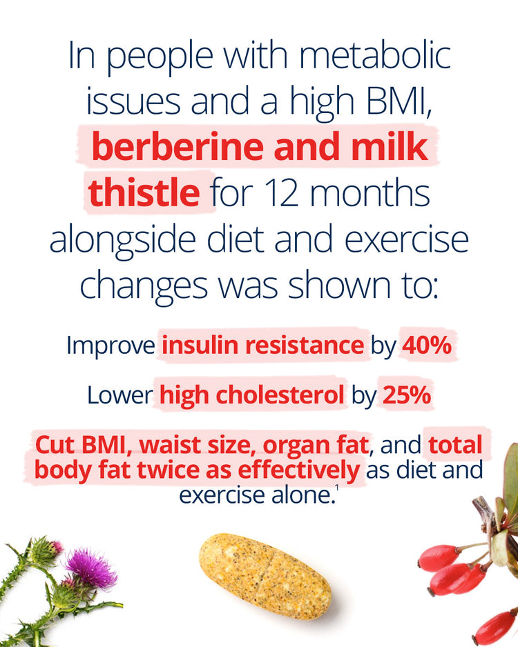 Infographic on metabolic health benefits of berberine and milk thistle. Text explains that in people with high BMI and metabolic issues, these ingredients improve insulin resistance by 40%, lower high cholesterol by 25%, and reduce BMI, waist size, organ fat, and total body fat effectively. Includes a yellow supplement tablet, milk thistle flower, and red berries.
