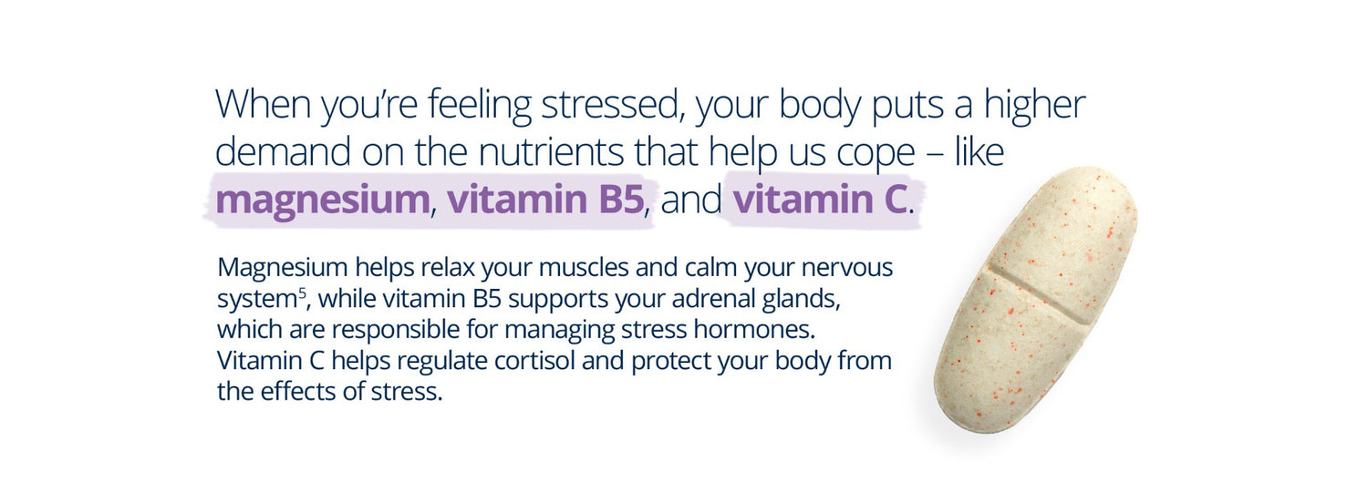 MetaRelax Daily education: magnesium relaxes muscles and calms nerves, vitamin B5 supports adrenal glands for stress management, and vitamin C regulates cortisol and protects against stress.