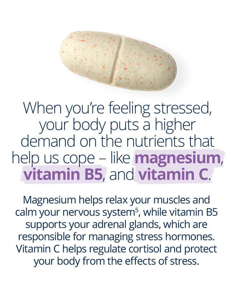 MetaRelax Daily education: magnesium relaxes muscles and calms nerves, vitamin B5 supports adrenal glands for stress management, and vitamin C regulates cortisol and protects against stress.